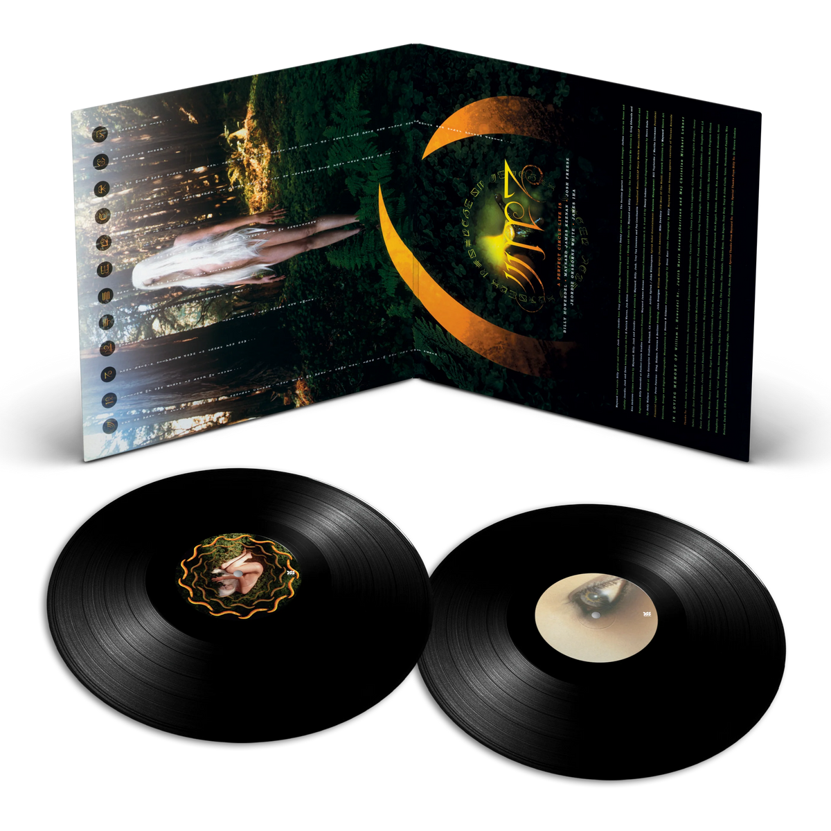A Perfect Circle - Thirteenth Step (Gatefold 180 Gram Vinyl) [2LP] [Import]
