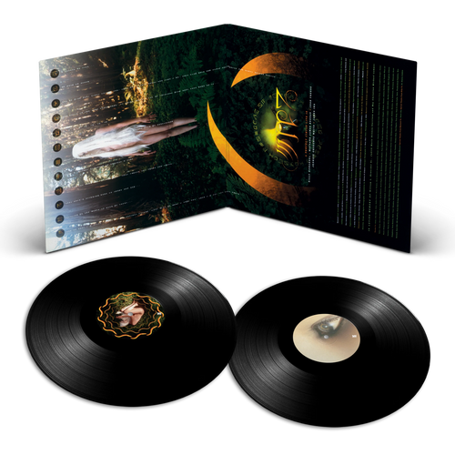 A Perfect Circle - Thirteenth Step (Gatefold 180 Gram Vinyl) [2LP] [Import]