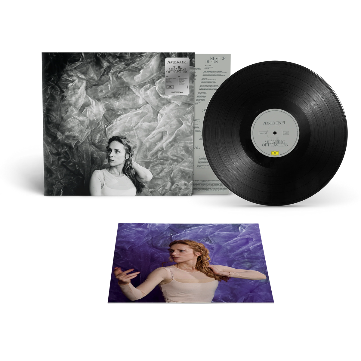 Agnes Obel - The Meaning of Flowers [LP]